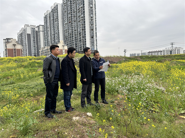 3月29日，張總陪同汪盛縣長調(diào)度揚(yáng)之學(xué)校征地.jpg